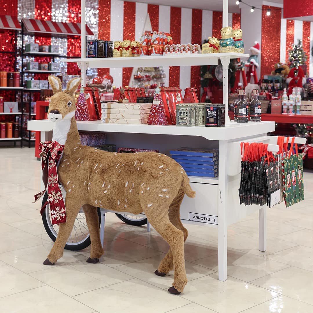 The Arnotts Christmas Market