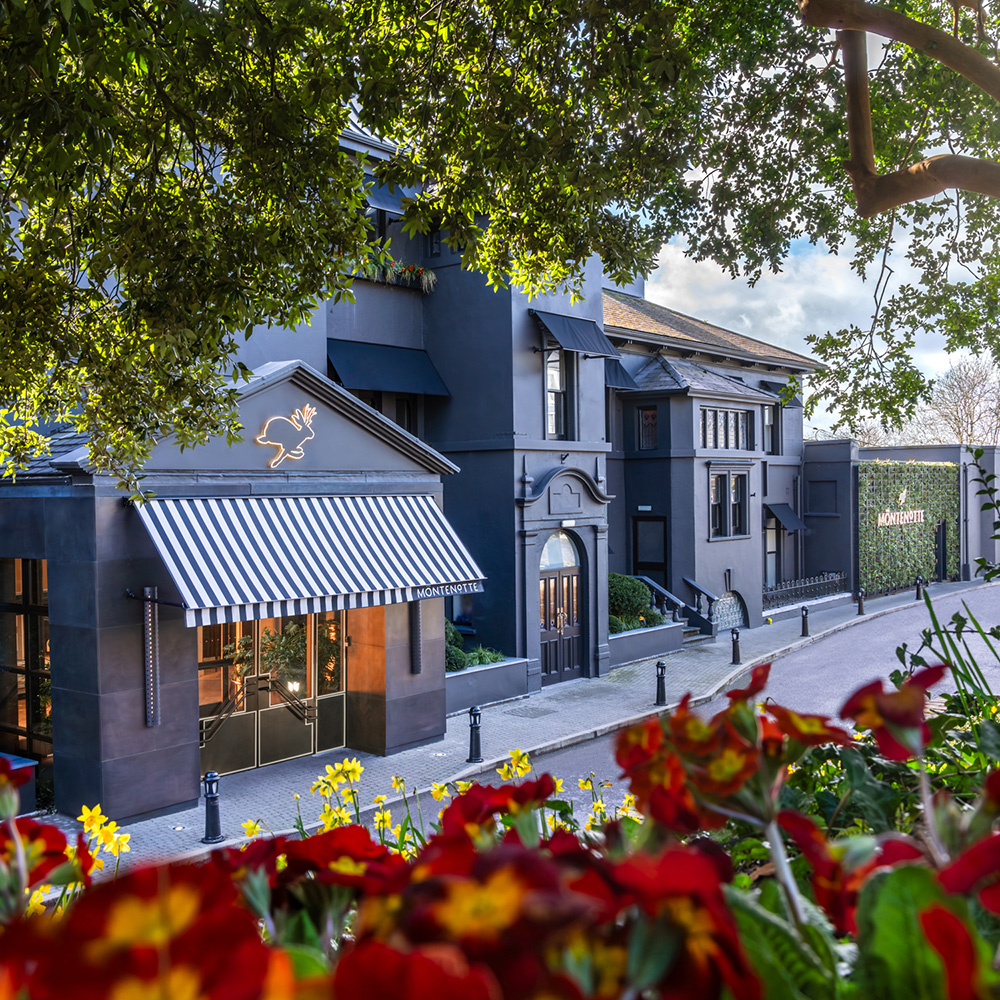 The Montenotte