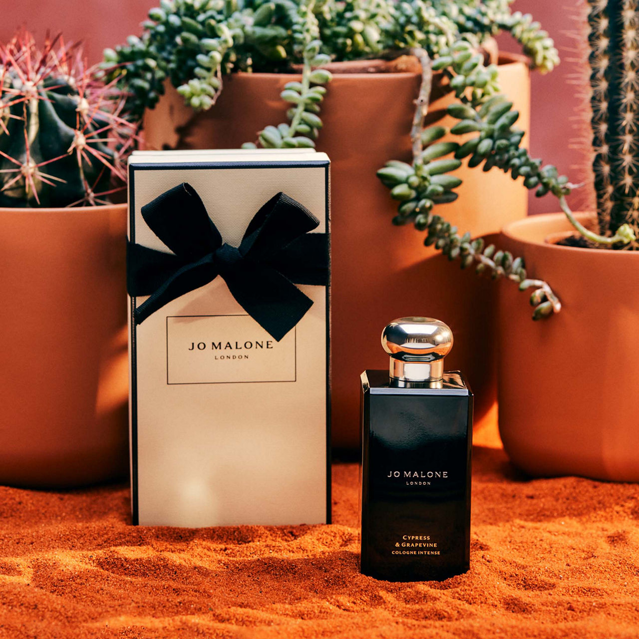 Perfume bottle and box with a black bow, set on orange sand surrounded by potted cacti.
