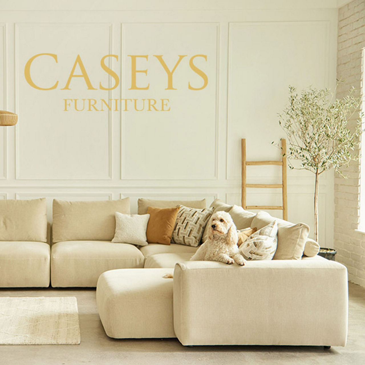 Casey Funritures
