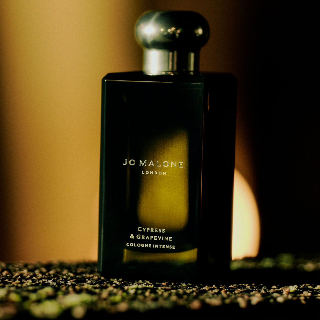 Mens Fragrance