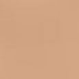 Luminous Silk Foundation