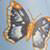 Multi