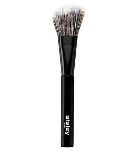 Blush Brush Blush Brush