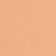 Boi-ing Industrial Strength Concealer