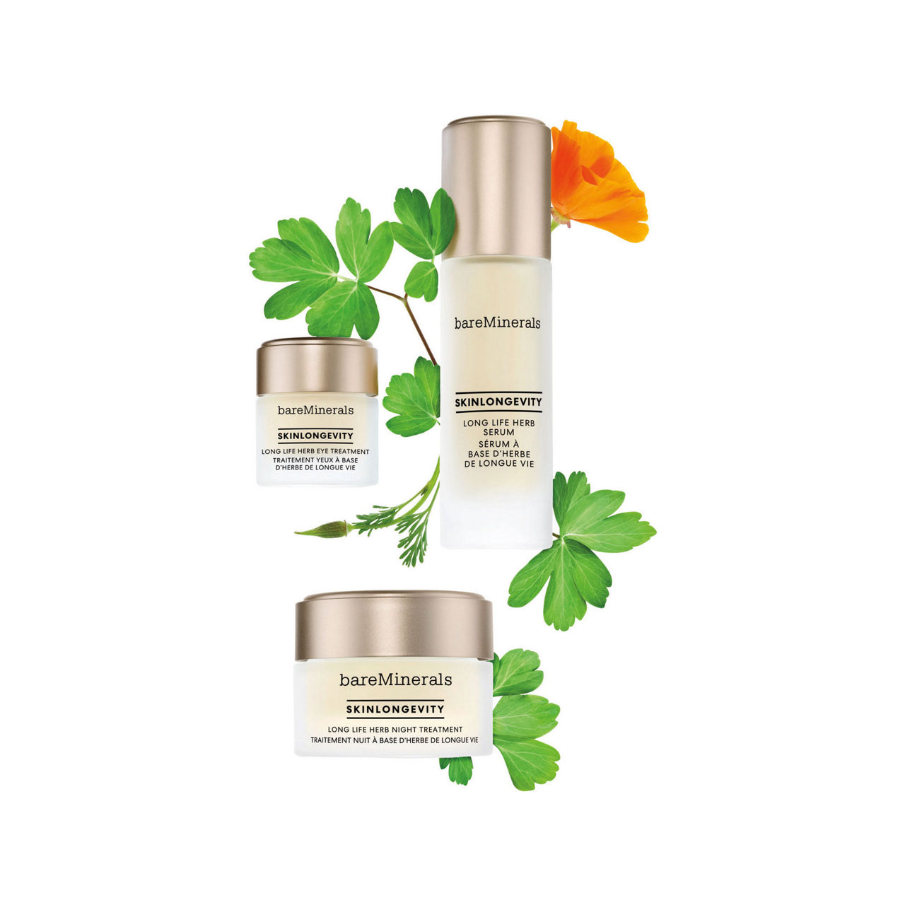 SKINLONGEVITY Long Life Herb Night Treatment SKINLONGEVITY Long Life Herb Night Treatment