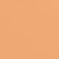 Skin Long-Wear Fluid Powder Foundation SPF20