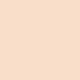 Intensive Serum Foundation SPF 40-30