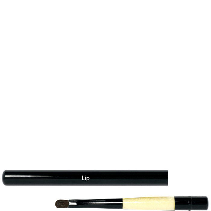 Retractable Lip Brush Retractable Lip Brush