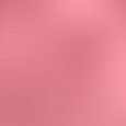 Cheek to Chic Powder Blush
