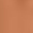 Airbrush Bronzing Powder