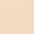 Airbrush Flawless Foundation