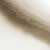 SH1