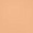 Even Better Clinical&trade; Serum Foundation SPF20