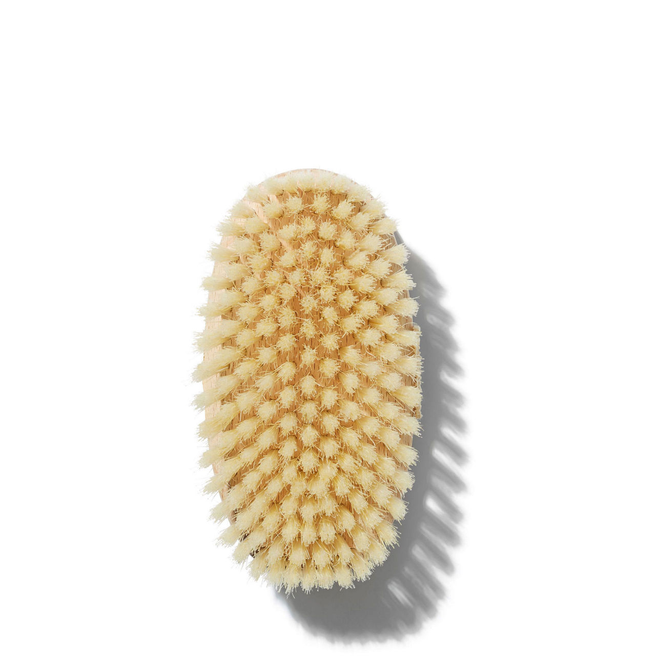 Body Brush Body Brush