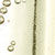 SH1