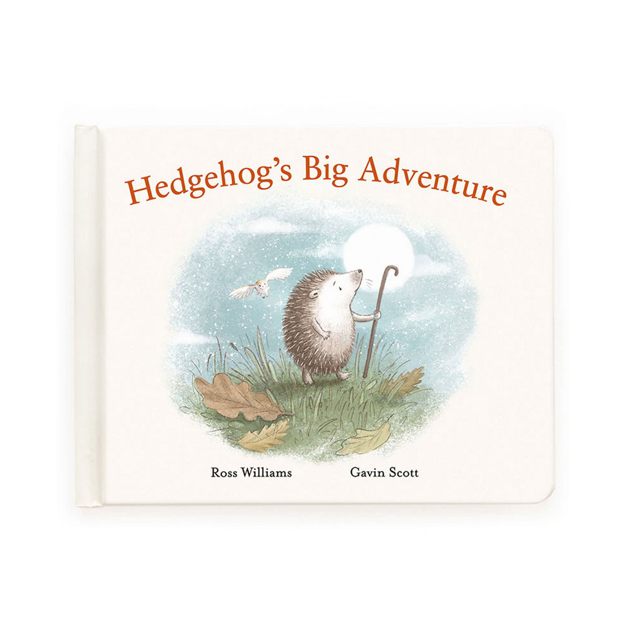 Hedgehog's Big Adventure' Book preview