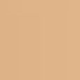 Teint Idole Ultra Foundation Stick