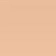 Teint Idole Ultra Wear All Over Concealer