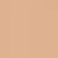 Teint Idole Ultra Wear Stick Foundation