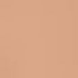 Teint Idole Ultra Wear Stick Foundation