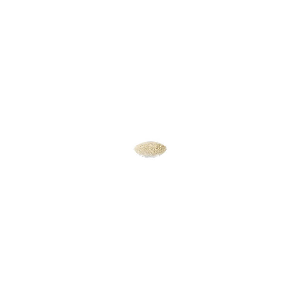 239 Eye Shader Brush