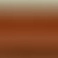 Brushstroke Liner