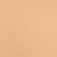 Studio Radiance Face And Body Radiant Sheer Foundation