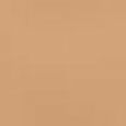 Studio Radiance Face And Body Radiant Sheer Foundation