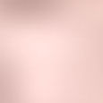 Frost Lipstick Repack