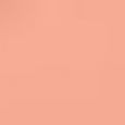 Retro Matte Liquid Lipcolour