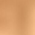 Bronzing Powder