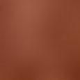 Bronzing Powder