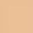 Soft Matte Foundation