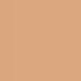 Soft Matte Foundation