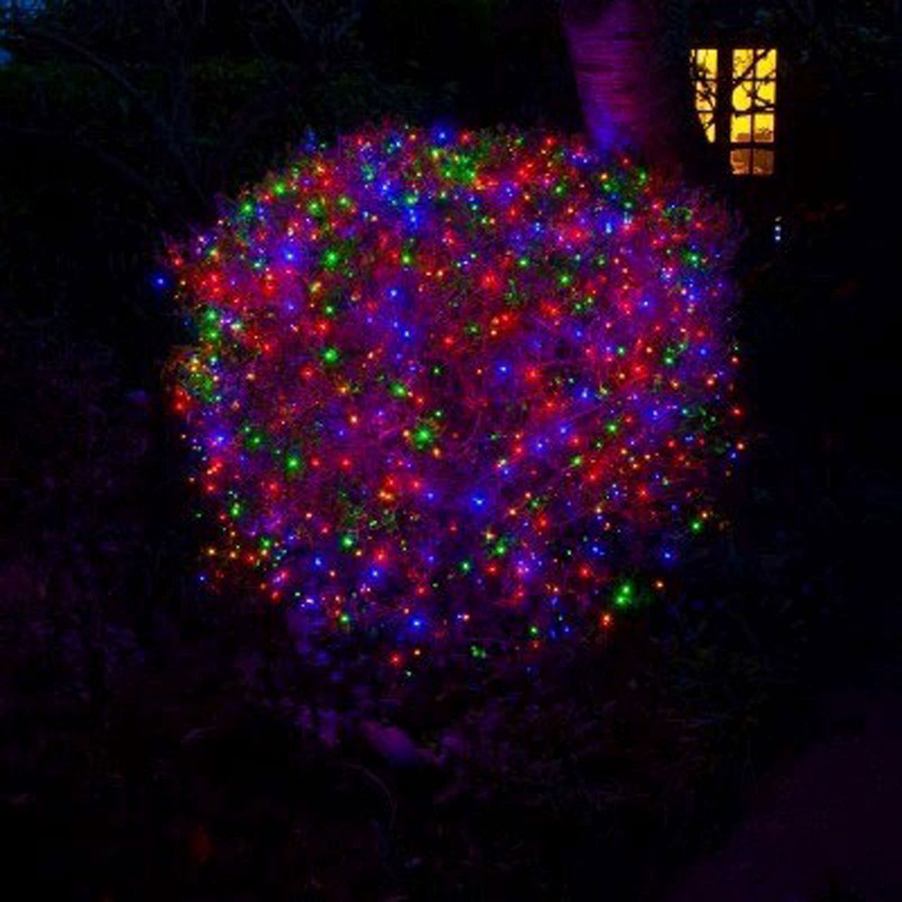 600 Multicoloured String Lights