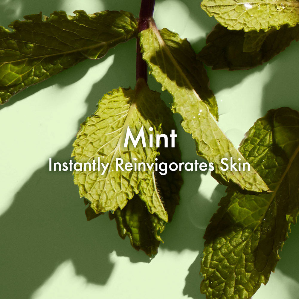 Zero Oil™ Pore Purifying Toner with Saw Palmetto & Mint