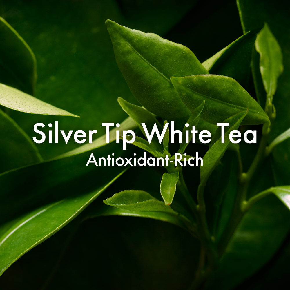 A Perfect World Antioxidant Moisturizer with White Tea