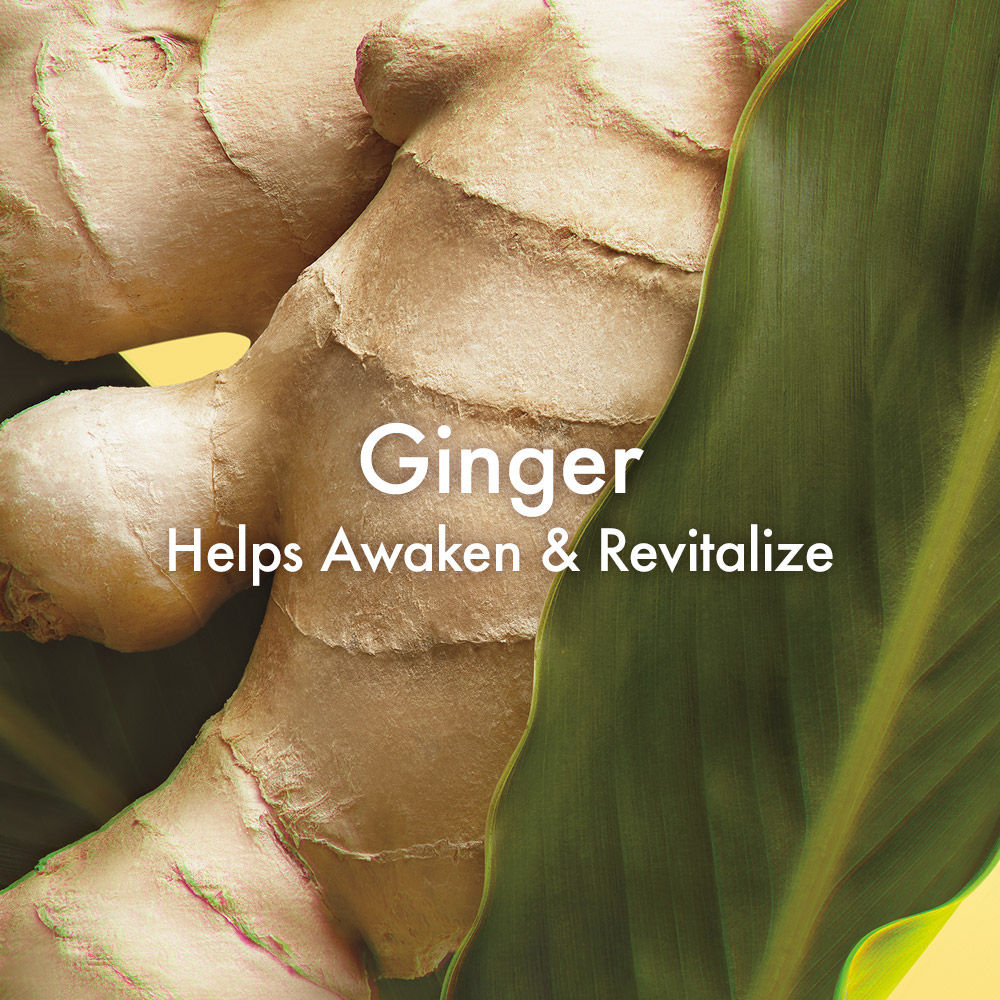 Incredible Spreadable Smoothing Ginger Body Scrub