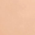 Phyto-Cernes Eclat Tinted Eye Concealer