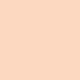 Phyto-Cernes Eclat Tinted Eye Concealer