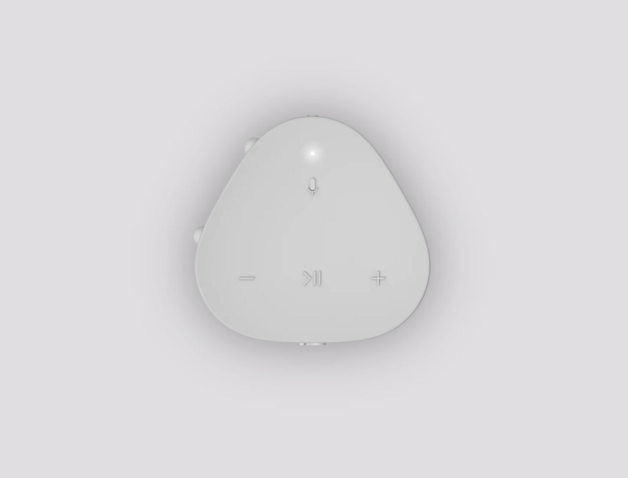 Roam Portable Waterproof Smart Speaker