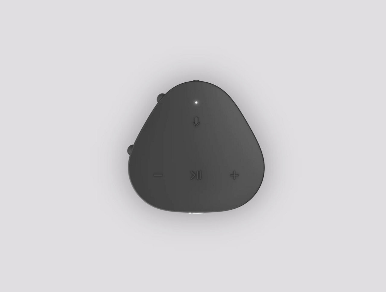 Roam Portable Waterproof Smart Speaker