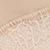 Undie-tectable® Light Control Lace Hi-Hipster Briefs