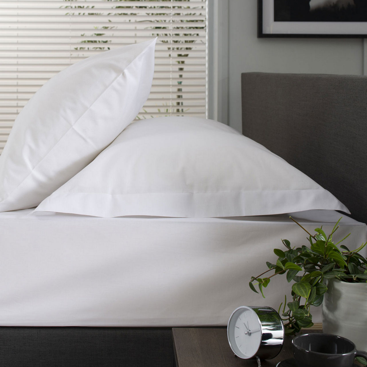 200 Thread Count Cotton Percale Oxford Pillowcase White