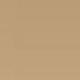 Born This Way Foundation