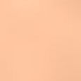 Vital Skin Foundation Stick