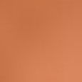 Vital Skin Foundation Stick