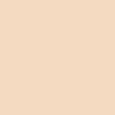 Beautiful Skin Foundation
