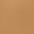 Beautiful Skin Foundation